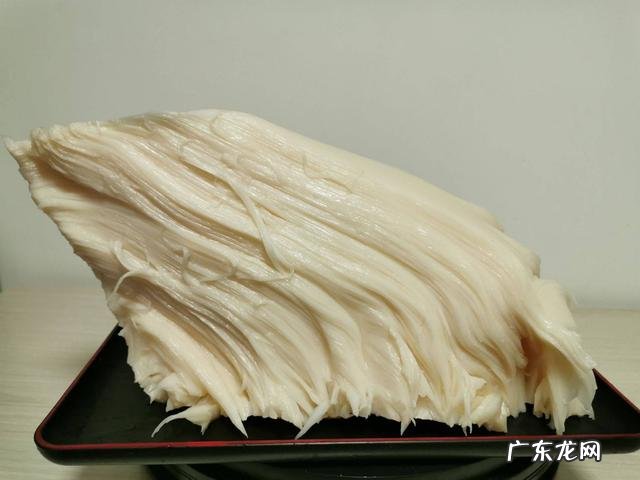 太岁可以泡水里一直活下去吗 太岁是什么东西