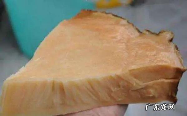 太岁可以泡水里一直活下去吗 太岁是什么东西