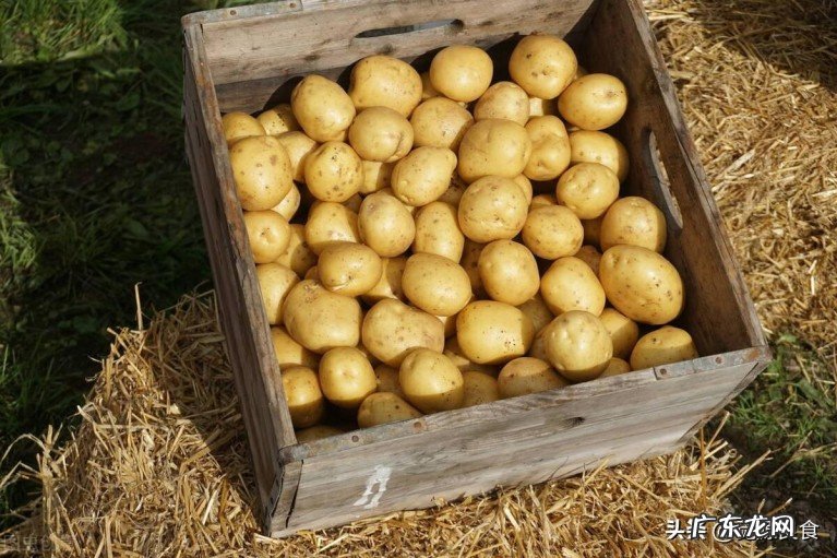 钾元素到底有多重要？什么情况下身体会缺钾？