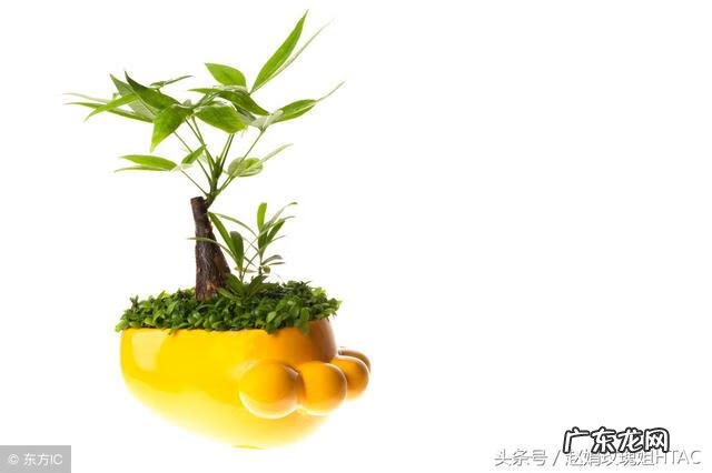 搭彩钢棚看风水 南北花棚风水好吗