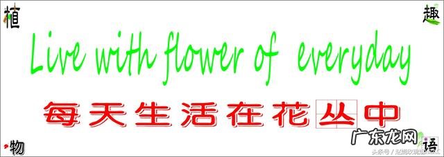 搭彩钢棚看风水 南北花棚风水好吗