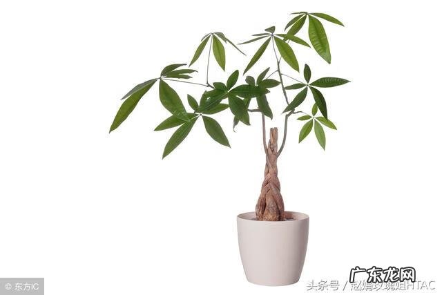 搭彩钢棚看风水 南北花棚风水好吗