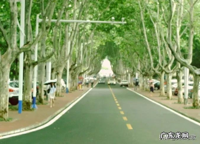 南京工业大学排名与南京理工大学有啥区别？