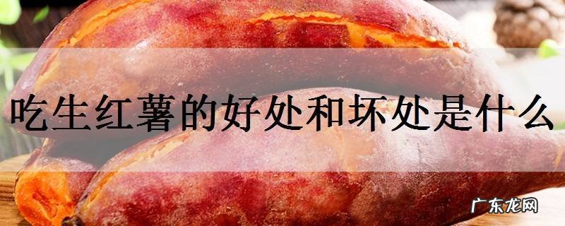 吃生红薯的好处和坏处是什么