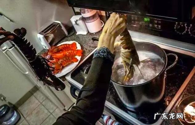 你不知道的瑞士冷知识 瑞士是哪个国家