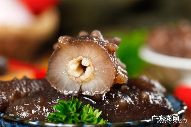 干海参的泡发方法是什么，泡发好的海参要如何保存？