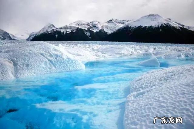 珠穆朗玛峰为什么会长草 珠穆朗玛峰海拔多少米