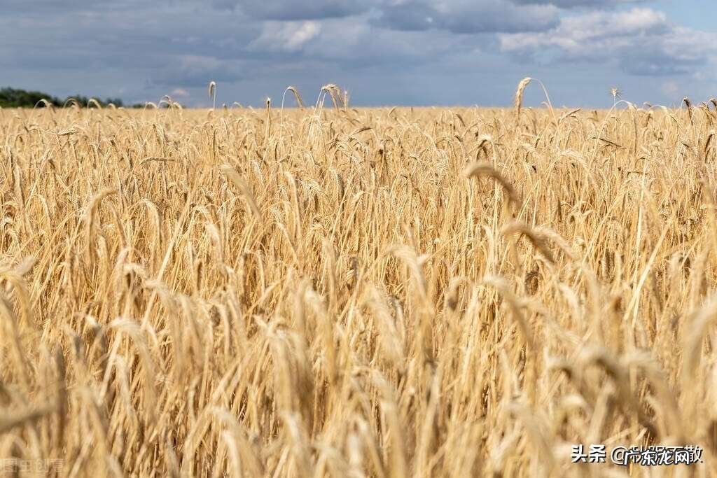 农业设备品牌排名前十 世界十大农业设备制造商排行榜
