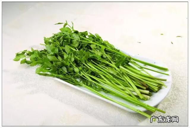 鼠曲草有什么作用 鼠曲草的功效与禁忌是什么