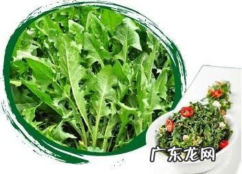 鼠曲草有什么作用 鼠曲草的功效与禁忌是什么