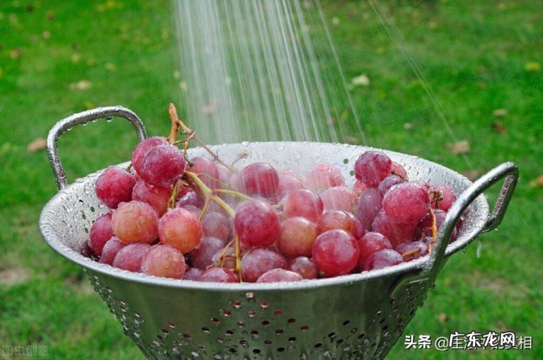葡萄外面一层白霜是什么?葡萄上面的白霜怎么可以洗掉?