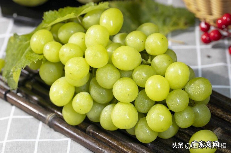 葡萄外面一层白霜是什么?葡萄上面的白霜怎么可以洗掉?