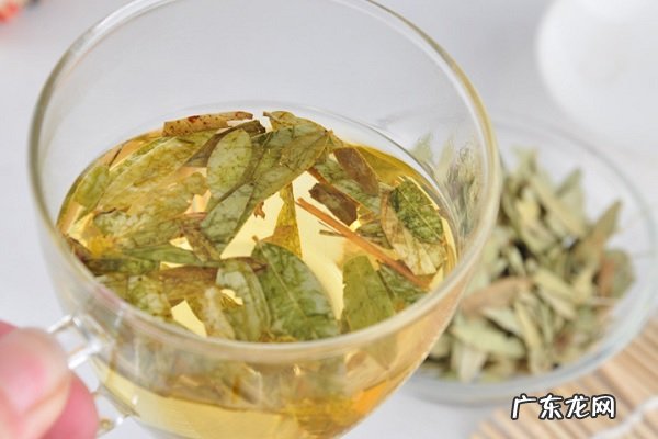 番泻叶的副作用食用禁忌有哪些