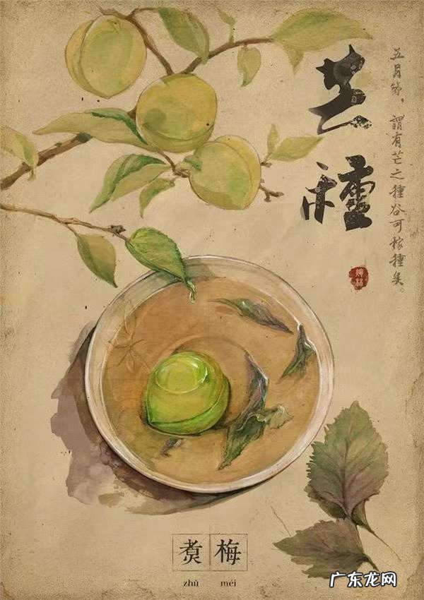 节气里的唯美古诗词欣赏 描写二十四节气芒种的古诗