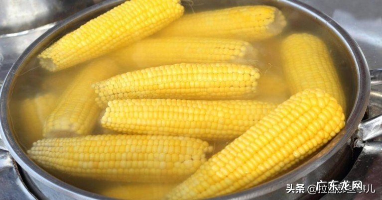 黄玉米和白玉米有什么区别?哪个更好吃了