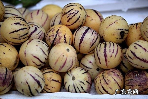 人参果的籽可以吃吗如何正确食用