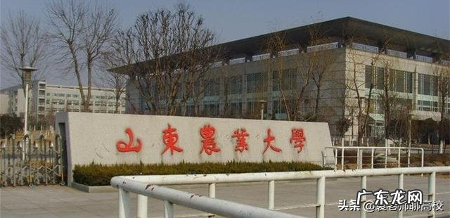 三校优势对比 山东理工大学、山东建筑大学和山东农业大学哪个好