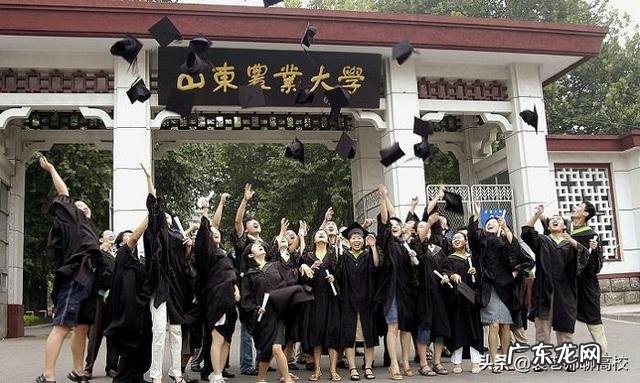 三校优势对比 山东理工大学、山东建筑大学和山东农业大学哪个好