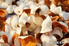 陈皮泡水喝的禁忌有哪些注意事项