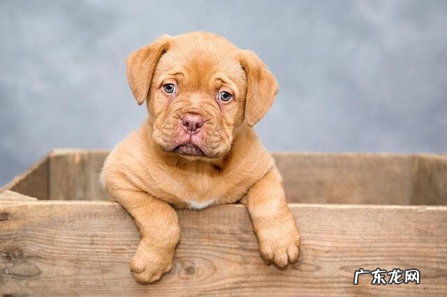 微信百丽官方店是真的么 bailibaili