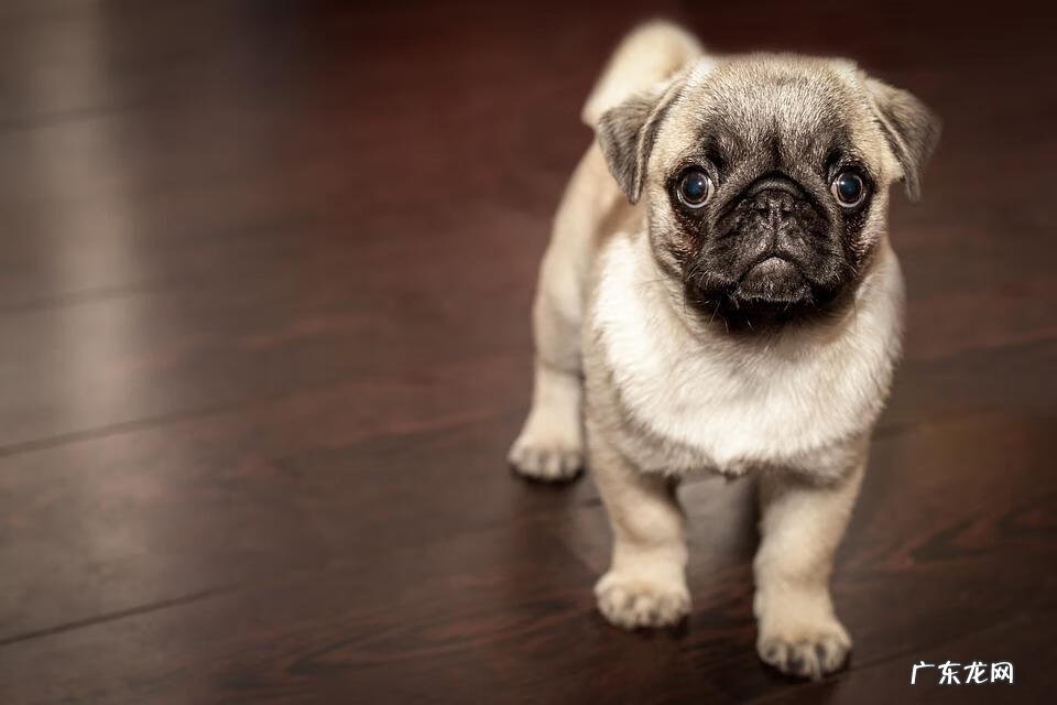 微信百丽官方店是真的么 bailibaili