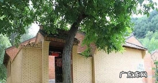 房前种竹子好吗 房后种竹子对风水好吗