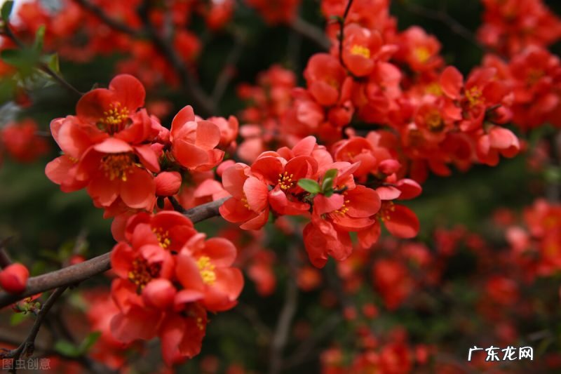 尝到其中的酸甜苦辣 生活美好的句子唯美语录