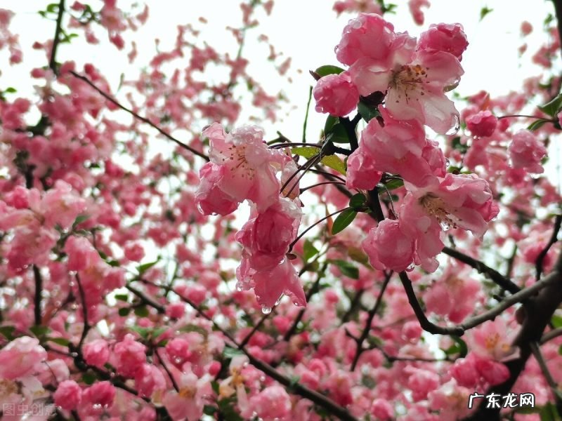 尝到其中的酸甜苦辣 生活美好的句子唯美语录