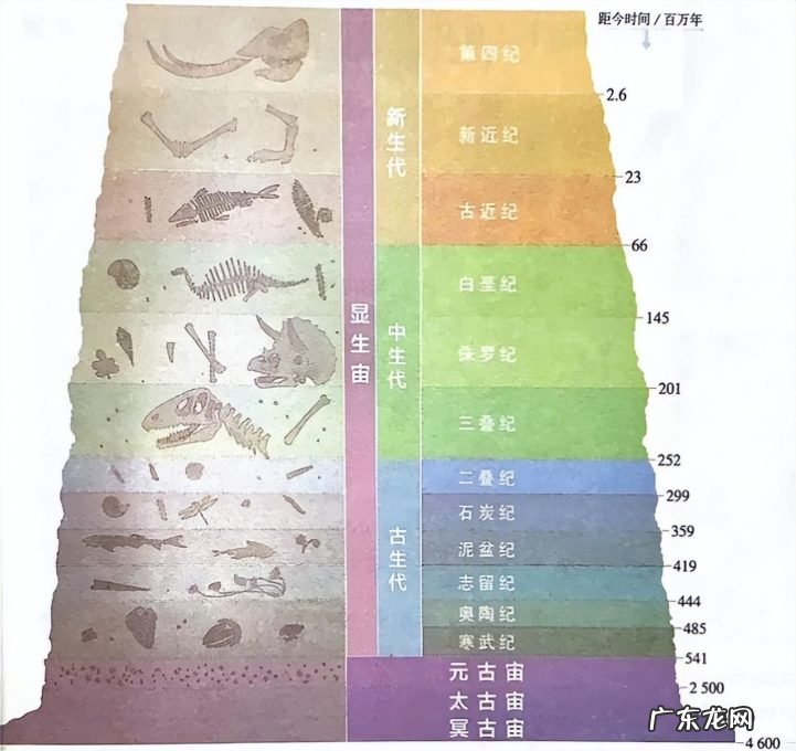 盘点地质类博物馆的作用 地质类博物馆的力量