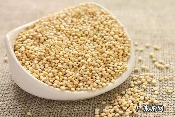 藜麦米怎么吃食用方法有哪些