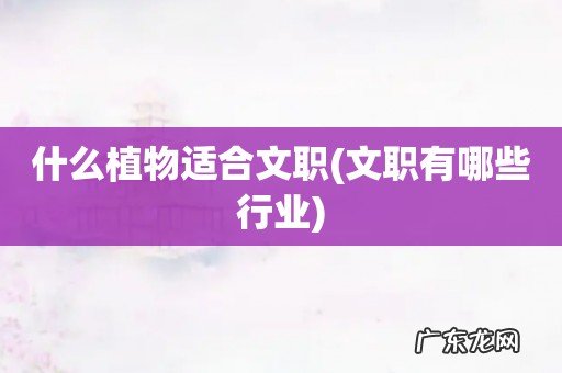 文职有哪些行业 什么植物适合文职