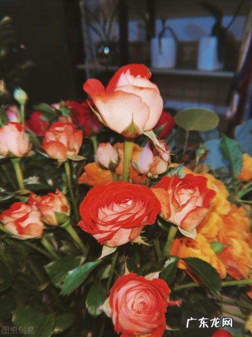 一起去领略满目的春色 十首春色诗句盘点