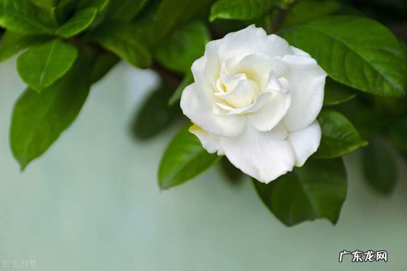 一起去领略满目的春色 十首春色诗句盘点