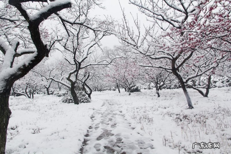 一起去领略满目的春色 十首春色诗句盘点