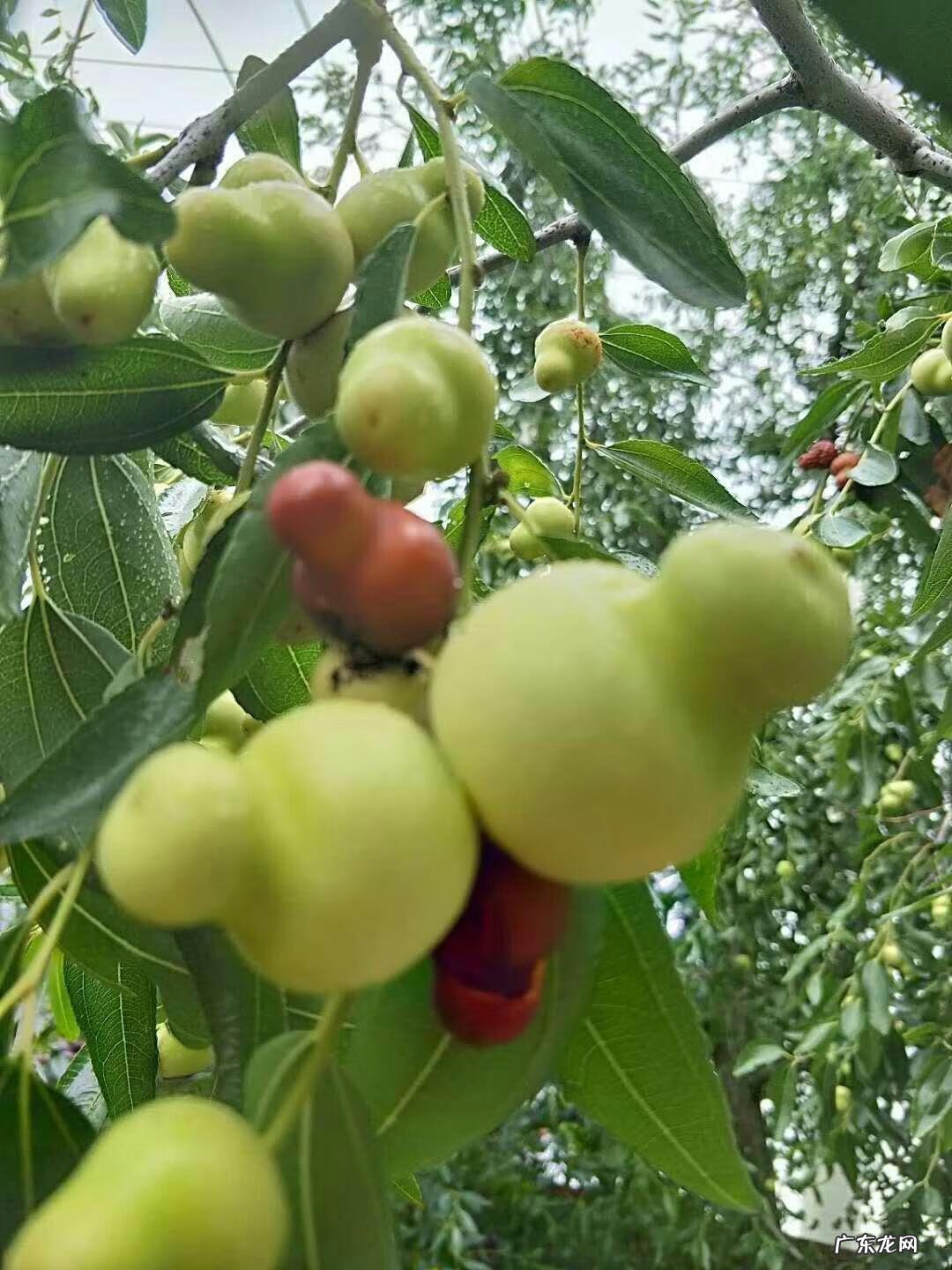 关于国庆节的诗歌有哪些 有关于国庆节的诗歌