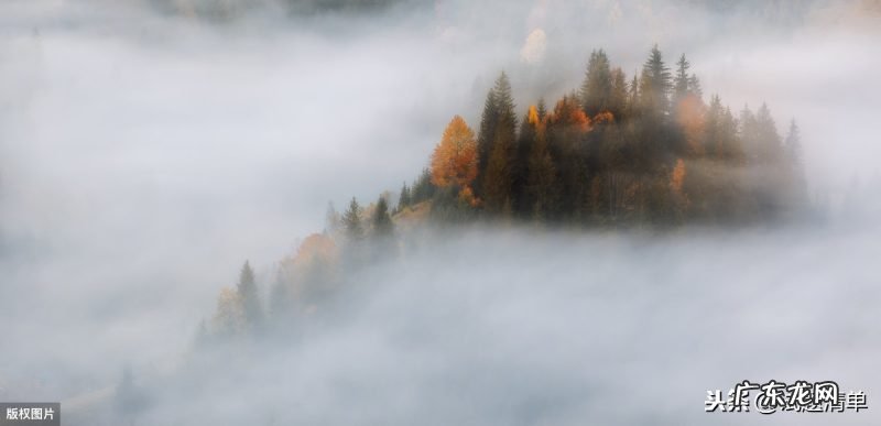 盘点雾形成的条件 雾是怎么形成的原因