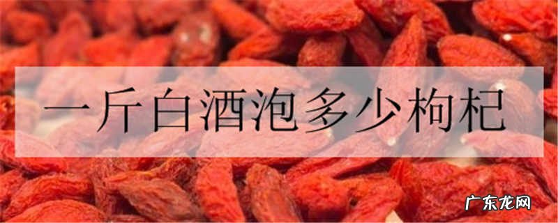 一斤白酒泡多少枸杞