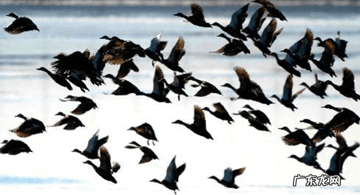 遗传算法求解tsp流程 遗传算法tsp问题