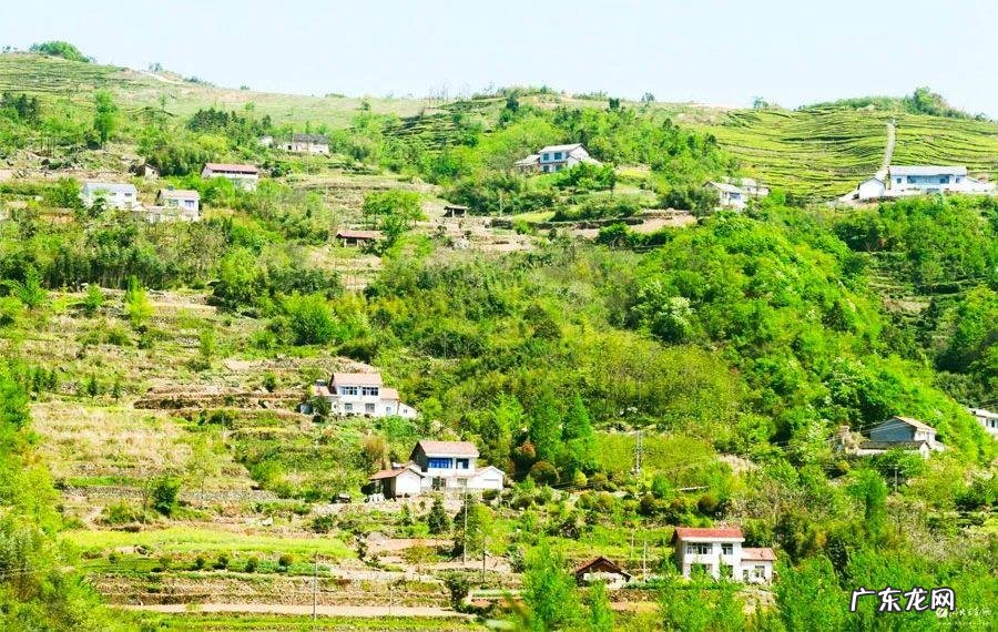 绿色家园的画简要说明 绿色家园儿童画