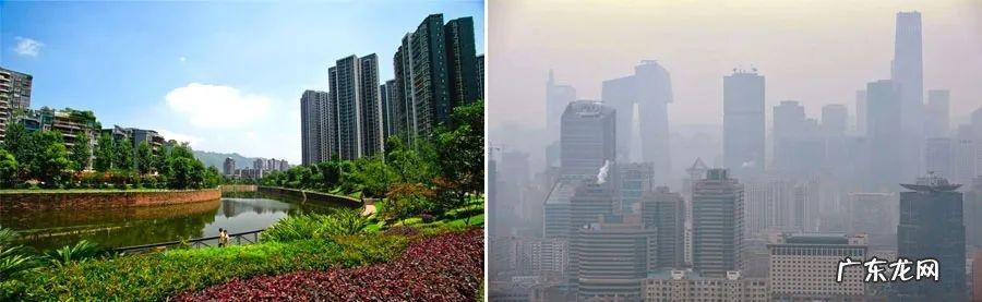 绿色家园的画简要说明 绿色家园儿童画