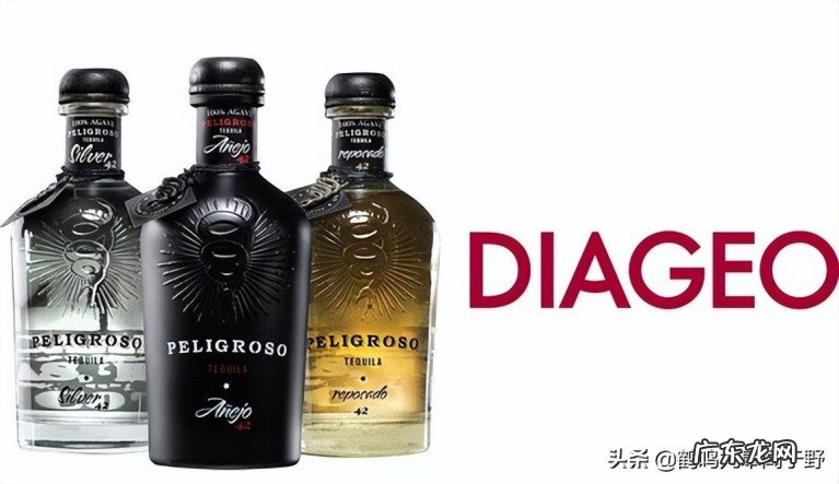 全球品牌十大酒业集团排名,看看中国有几家?