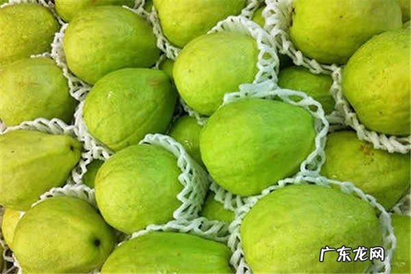 番石榴怎么吃要削皮吗