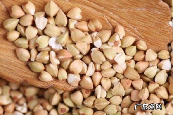 荞麦什么人不能吃禁忌人群有哪些