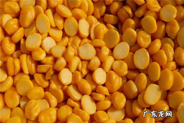 转基因大豆油能吃吗有什么好处