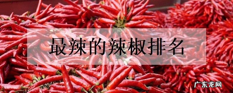 最辣的辣椒排名