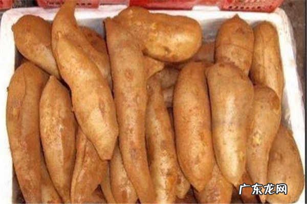 女生吃雪莲果的坏处有哪些