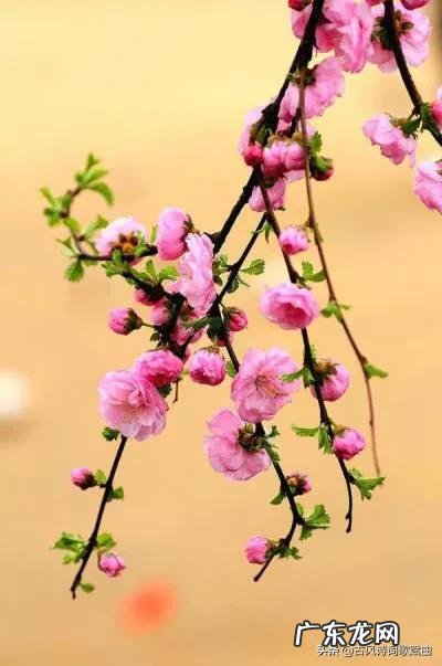 句句温暖人心直抵心灵 100句正能量的句子经典语句