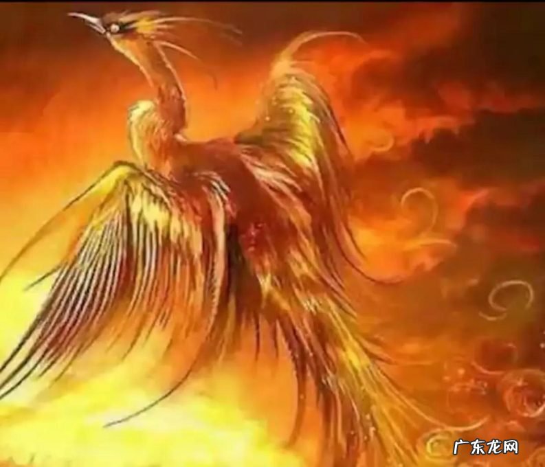 凤育九雏又是哪九雏 龙生九子是哪九子