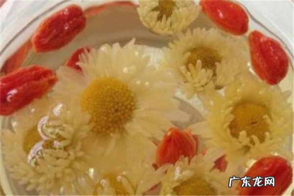 菊花枸杞子能天天喝吗注意事项有哪些