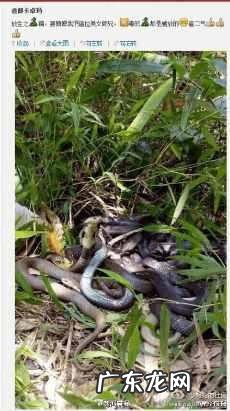 风水迷信害人不浅 放生人不信风水